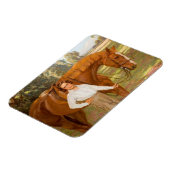 Jasmine the Horse (by Algernon Talmage) マグネット (左側)