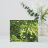 JAVグリーン。セントクロワ葉書10 ポストカード (スタンド正面)