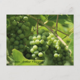 JAVグリーン。セントクロワ葉書10 ポストカード