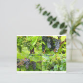 JAVコラージュポストカード2013 9 ポストカード (スタンド正面)