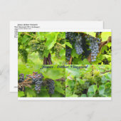 JAVコラージュポストカード2013 9 ポストカード (正面/裏面)