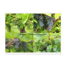 JAVコラージュポストカード2013 9