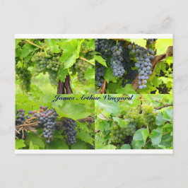 JAVコラージュポストカード2013 9 ポストカード