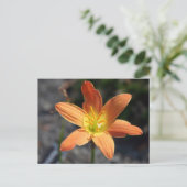 Javaポストカード ポストカード (スタンド正面)