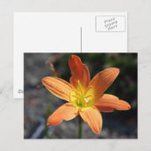 Javaポストカード ポストカード (正面/裏面)