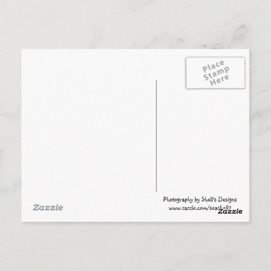 Java Appleツリー ポストカード (裏面)