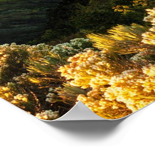 Java, Indonesia, scenic landscape photograph, ポスター (角)