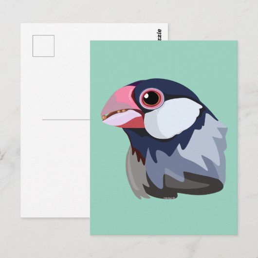 Java Sparrow—simplified  ポストカード (正面/裏面)