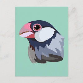 Java Sparrow—simplified  ポストカード