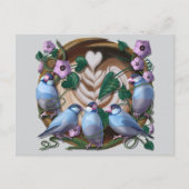 Java Sparrows, Java Coffee ポストカード (正面)