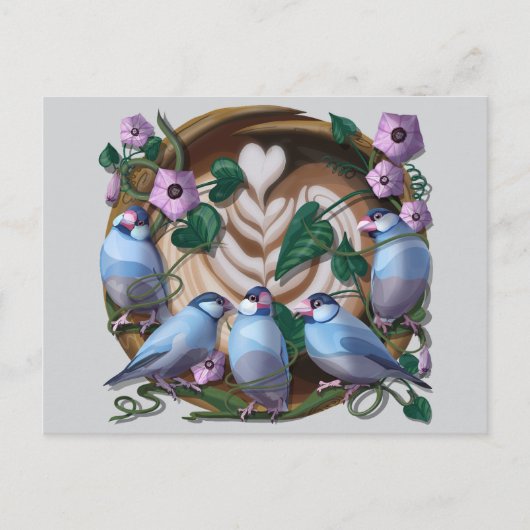 Java Sparrows, Java Coffee ポストカード (正面)