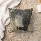 Javelina クッション (ブランケット)