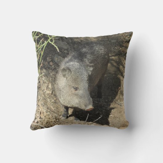 Javelina クッション (裏面)