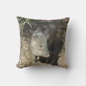 Javelina クッション (正面)