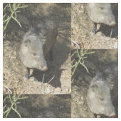 Javelina ファブリック (クローズアップ)
