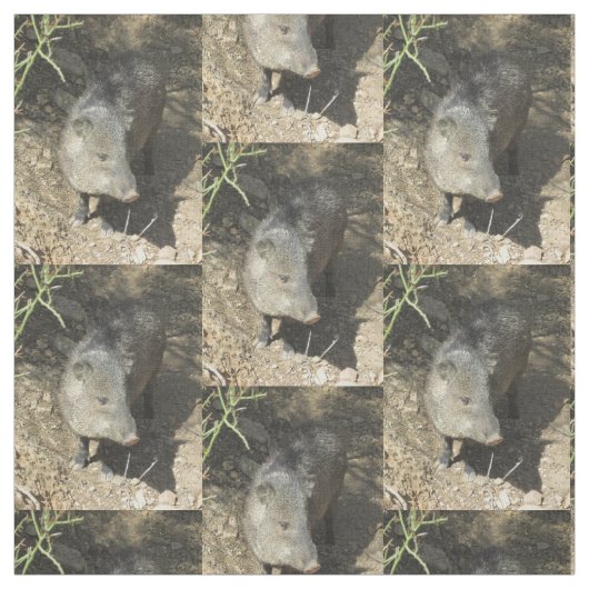 Javelina ファブリック (見本)