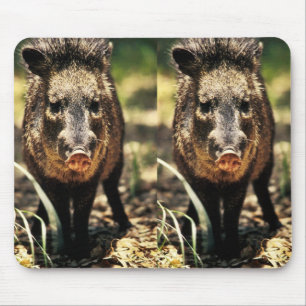 Javelina マウスパッド