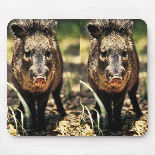 Javelina マウスパッド (正面)