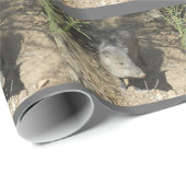 Javelina ラッピングペーパー (ロールコーナー)