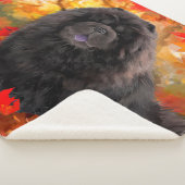 JAXチャウチャウシャーパブランケット シェルパブランケット (3/4)