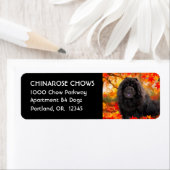 JAX -差出人住所ラベル ラベル (インサイチュ)