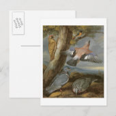 Jay, Green Woodpecker, Pigons and Redstart, c.165 ポストカード (正面/裏面)