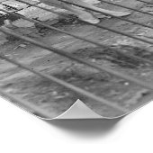 Jazz Band at the Zoo, 1925.ヴィンテージ写真 ポスター (角)