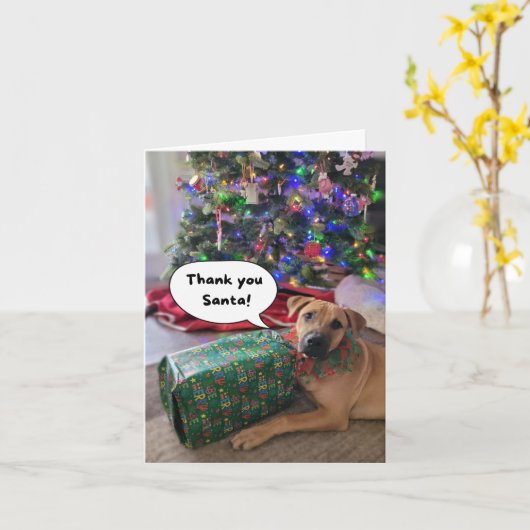 JCAPLサンタありがとう カード (黄色い花)