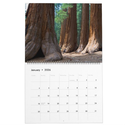 JCBPhotos.net 2010年の版1 カレンダー (1月 2026)