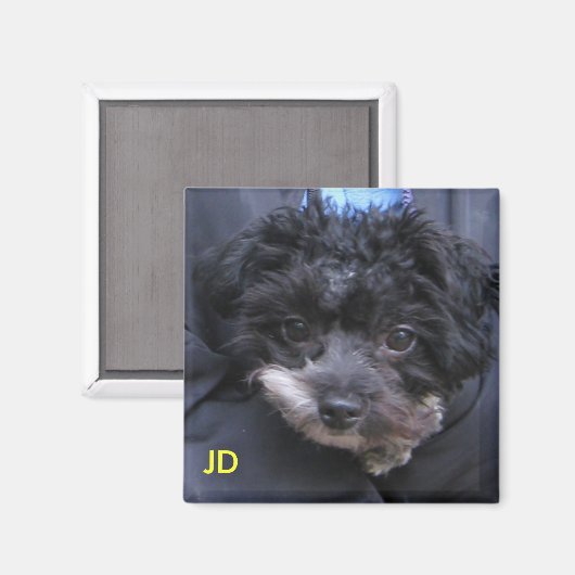 JD マグネット (正面/裏面)