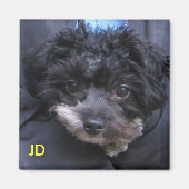 JD マグネット (正面)