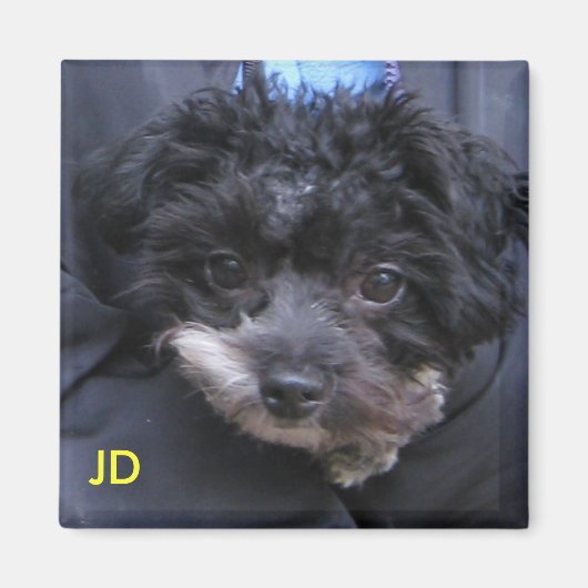 JD マグネット (正面)