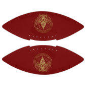 JD Vance 2025ロゴUSA アメリカンフットボール (パネル)