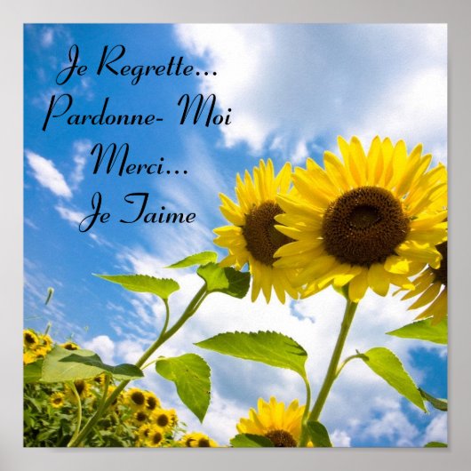 Je残念…パルドネ – モイ， Je Taime ポスター (正面)