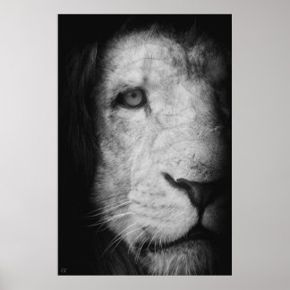 Je suis le roi ! ポスター