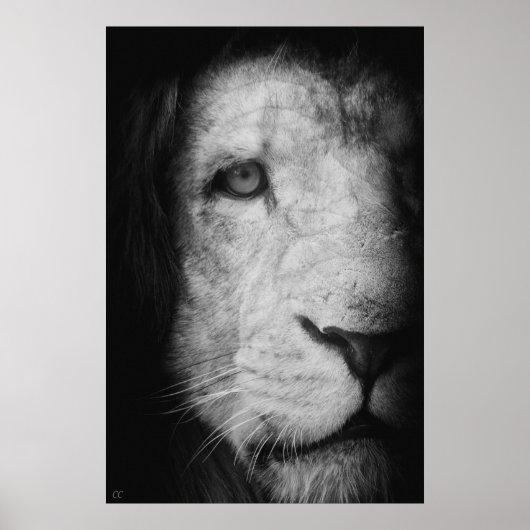 Je suis le roi ! ポスター (正面)