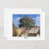 Jean-Baptiste-Camille Corot #201-2 -ファインアートP... ポストカード (正面/裏面)