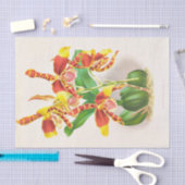 Jean Jules LindenによるOdongglosssum Grande (Orchid) 薄葉紙 (クラフト)