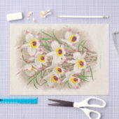 Jean Jules Linden著Dendrobium Falconeri (Orchid) 薄葉紙 (クラフト)