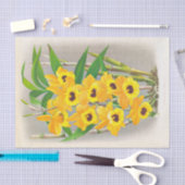 Jean Jules Linden著Dendrobium Paxtoni (Orchid) 薄葉紙 (クラフト)