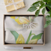 Jean Lindenによるカタセトゥムマクロカプラム(蘭) 薄葉紙 (ギフト)