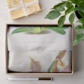 Jean Lindenによるキプリペジウムプラースタン（蘭） 薄葉紙 (ギフト)