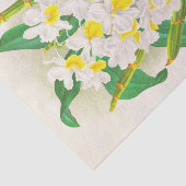 Jean LindenによるDendrobium Galliceanum（蘭） 薄葉紙 (詳細)