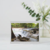 JedサンNoi水秋タイ ポストカード (スタンド正面)