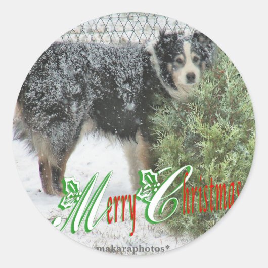 JeepersMCスタンプ ラウンドシール (正面)