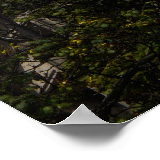 Jelenia Góra Architecture Print - Red Roof Turret ポスター (角)