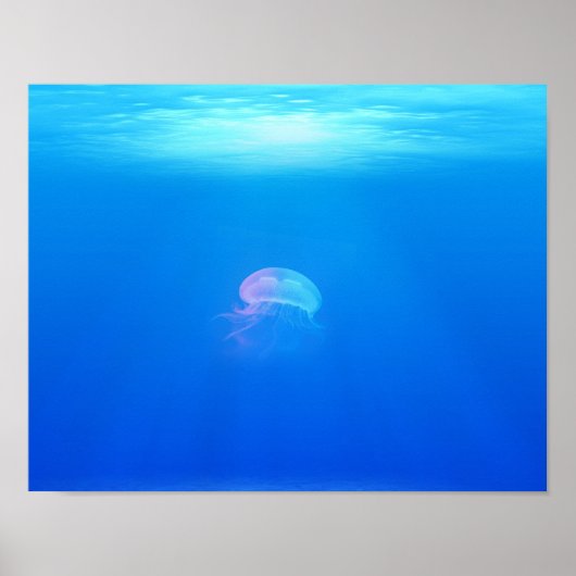 jelgy-698521海の生き物の動物ブルー海 ポスター (正面)