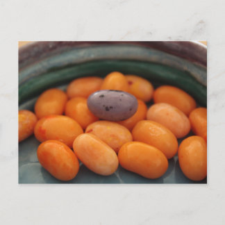 Jellibean John 6:27はがき ポストカード