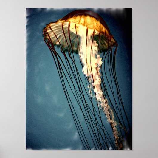 jellly_fly_2643_絵を描_crtd ポスター (正面)