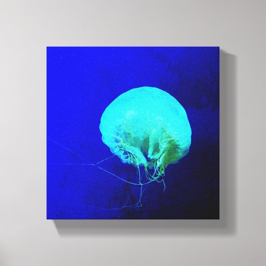 Jellyfish キャンバスプリント (正面)
